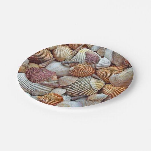 Muscheln Pappteller (Schrägansicht)