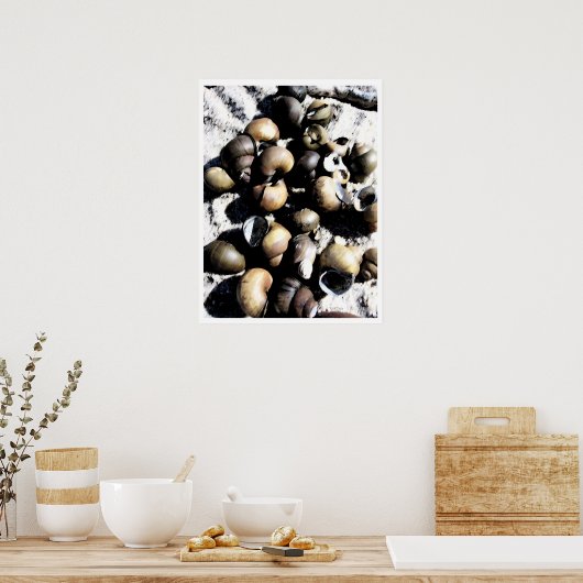 Muscheln PB Poster (Küche)