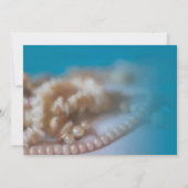 Muscheln & Perlen Eleganter, bemalt Strand Einladu Einladung (Rückseite)