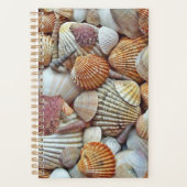 Muscheln Planer (Vorderseite)