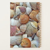 Muscheln Planer (Rückseite)