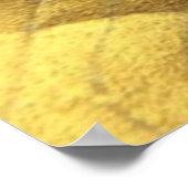 Muscheln Poster (Ecke)
