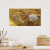 Muscheln Poster (Küche)