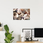 Muscheln Poster (Heimbüro)