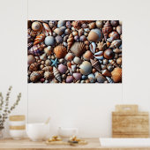 Muscheln Poster (Küche)