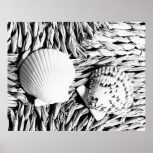 Muscheln Poster