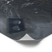 "Muscheln" Poster (Ecke)