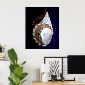 "Muscheln" Poster (Heimbüro)