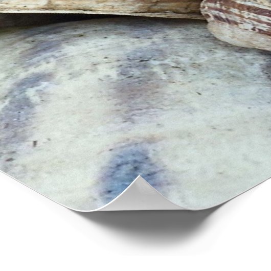 Muscheln Poster (Ecke)