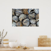Muscheln Poster (Küche)