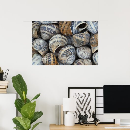 Muscheln Poster (Heimbüro)