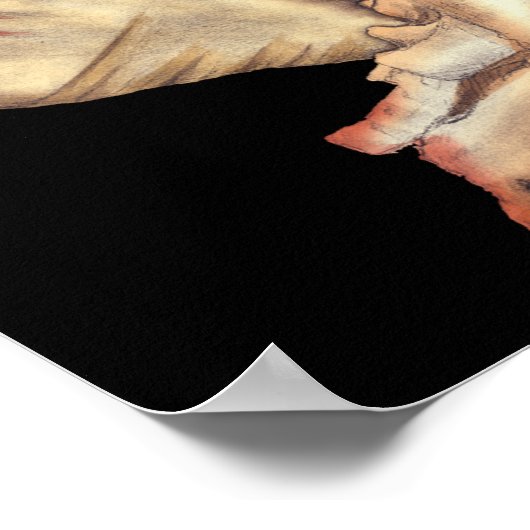 Muscheln Poster (Ecke)