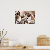 Muscheln Poster (Küche)