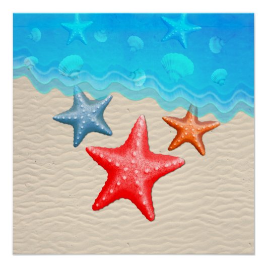 Muscheln Poster (Vorderseite)