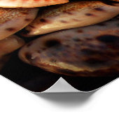 Muscheln Poster (Ecke)