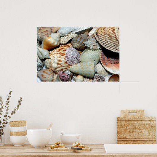 Muscheln Poster (Küche)