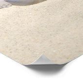 Muscheln Poster (Ecke)