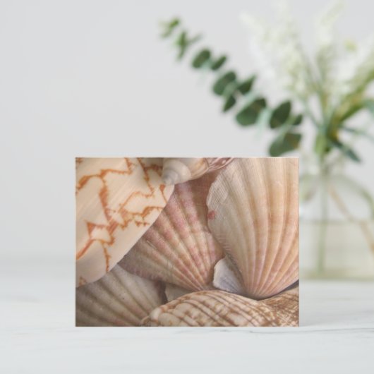 Muscheln Postkarte (Stehend Vorderseite)