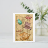 Muscheln Postkarte (Stehend Vorderseite)