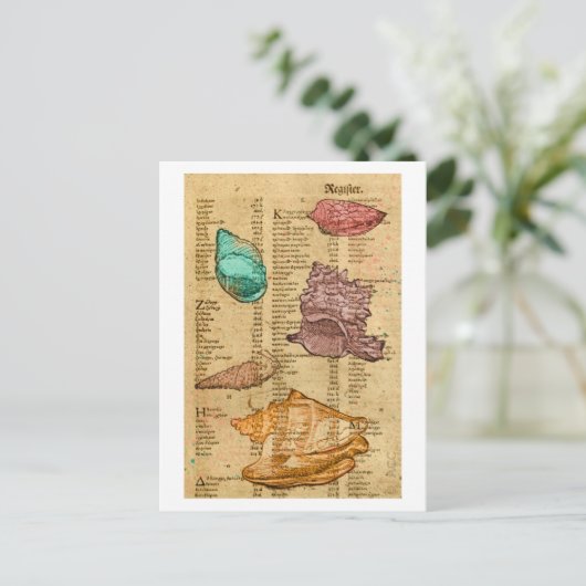 Muscheln Postkarte (Stehend Vorderseite)
