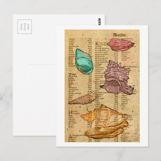 Muscheln Postkarte (Vorne/Hinten)
