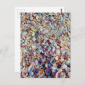 Muscheln Postkarte (Vorne/Hinten)