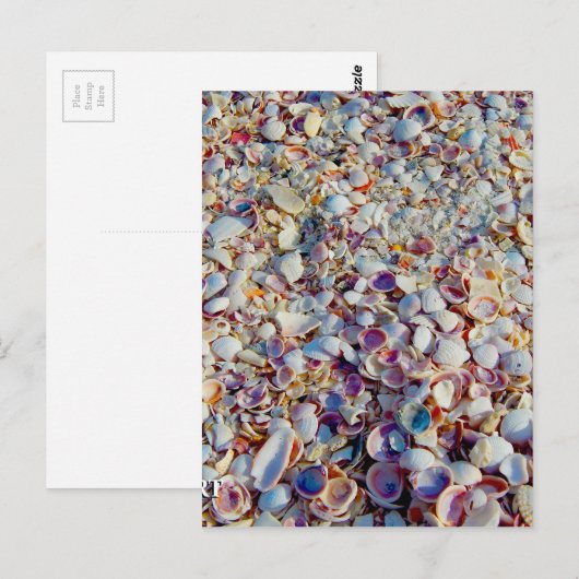 Muscheln Postkarte (Vorne/Hinten)