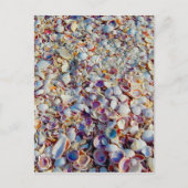 Muscheln Postkarte (Vorderseite)