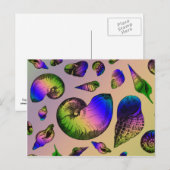 Muscheln Postkarte (Vorne/Hinten)