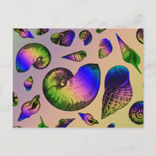 Muscheln Postkarte (Vorderseite)