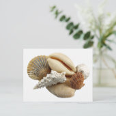 Muscheln Postkarte (Stehend Vorderseite)