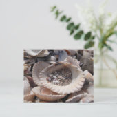 Muscheln Postkarte (Stehend Vorderseite)