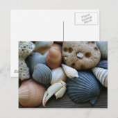 Muscheln Postkarte (Vorne/Hinten)