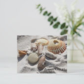 Muscheln Postkarte (Stehend Vorderseite)