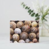 Muscheln Postkarte (Stehend Vorderseite)