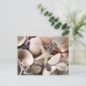 Muscheln Postkarte (Stehend Vorderseite)