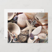Muscheln Postkarte (Vorne/Hinten)