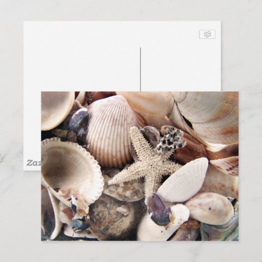 Muscheln Postkarte (Vorne/Hinten)