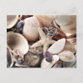 Muscheln Postkarte (Vorderseite)