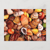 Muscheln Postkarte (Vorderseite)