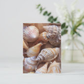 Muscheln Postkarte (Stehend Vorderseite)