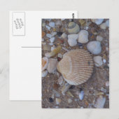 Muscheln Postkarte (Vorne/Hinten)
