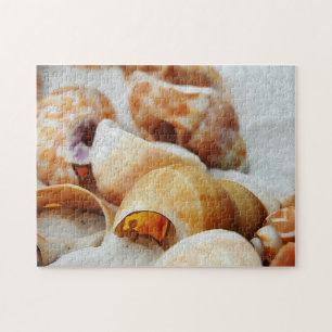 Muscheln Puzzle