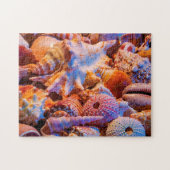 Muscheln Puzzle (Horizontal)