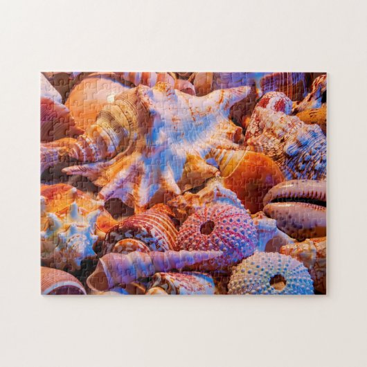 Muscheln Puzzle (Horizontal)