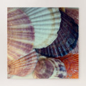 Muscheln Puzzle (Horizontal)