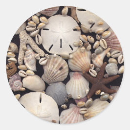 Muscheln Runder Aufkleber