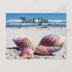 Muscheln Sandstrand Ozean Danke Postkarte