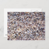 Muscheln Sanibel Island Florida Postkarte (Vorne/Hinten)