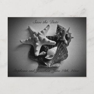 Muscheln Save the Date Postkarte